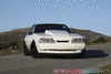 NorCal Ford Mustang Pics