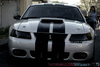 NorCal Ford Mustang Pics