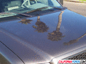 NorCal Ford Mustang Pics