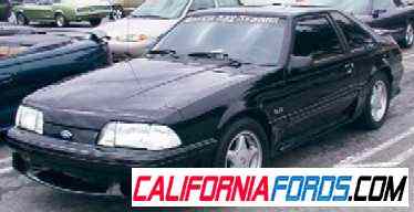 richards_stang2.jpg