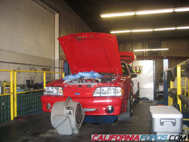 august dyno