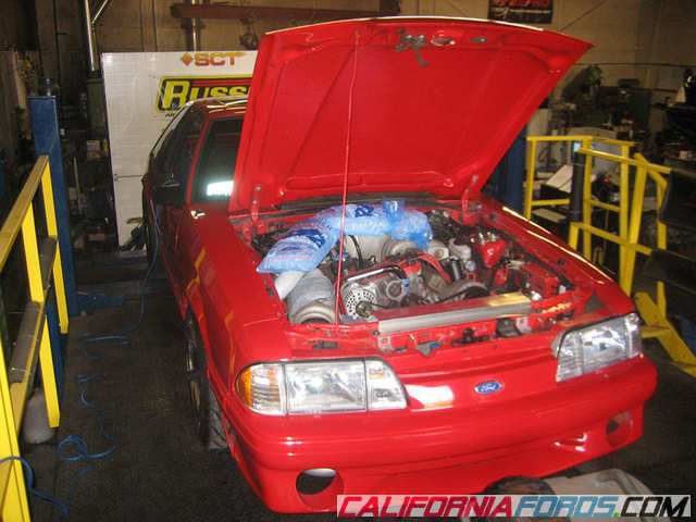 dyno pic 2