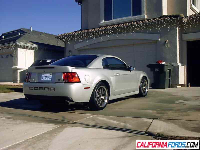 03 Cobra rear