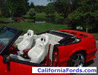 NorCal Ford Mustang Pics