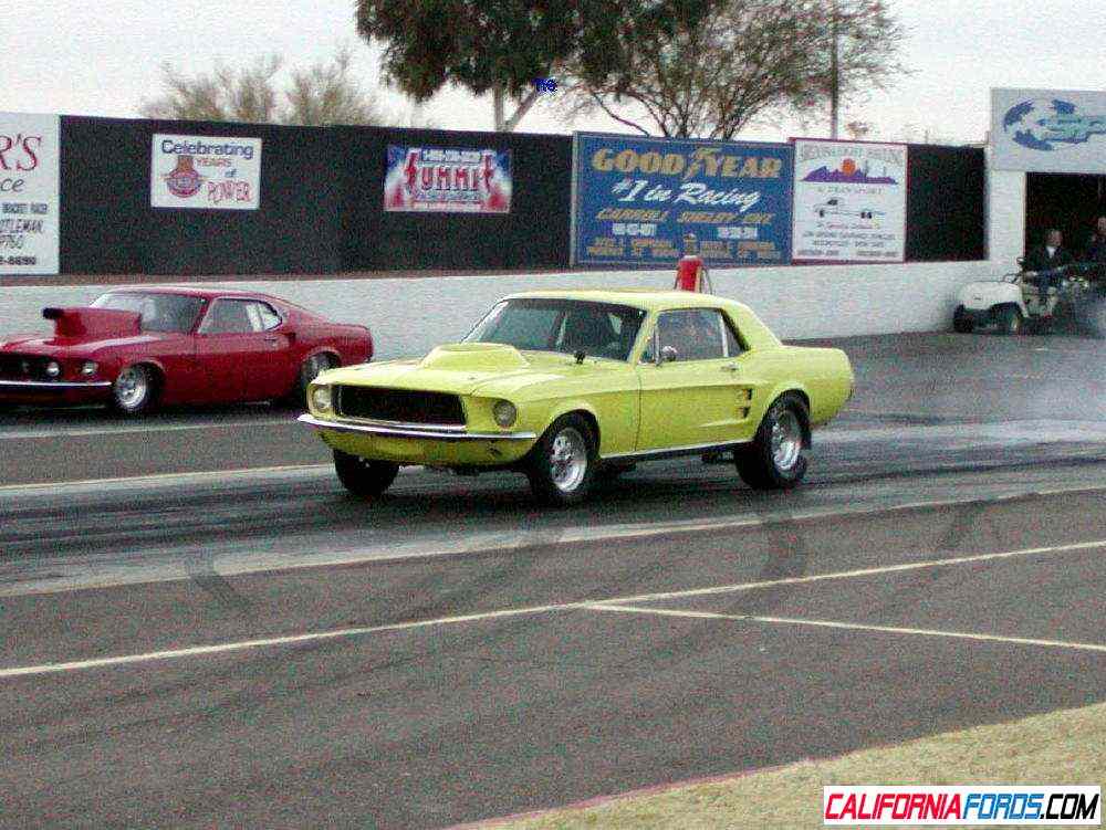 Yellow Stang