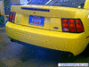 NorCal Ford Mustang Pics