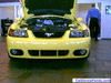 NorCal Ford Mustang Pics