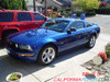 NorCal Ford Mustang Pics