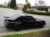 NorCal Ford Mustang Pics