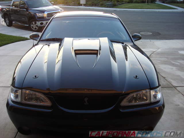 DSC01674.JPG