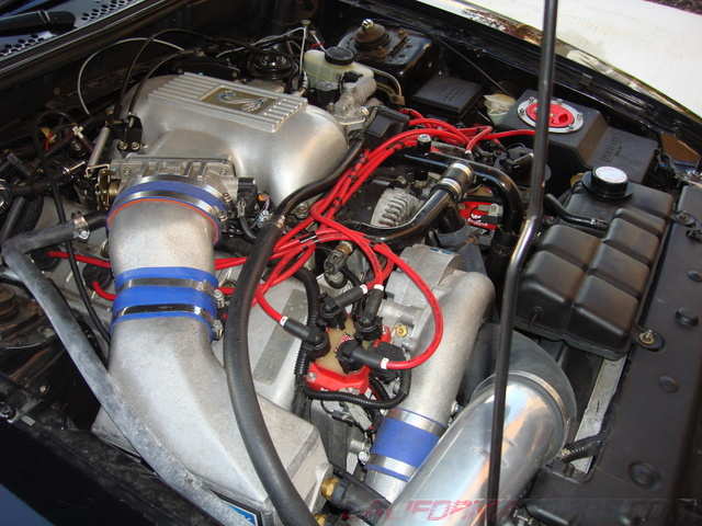 DSC01680.JPG