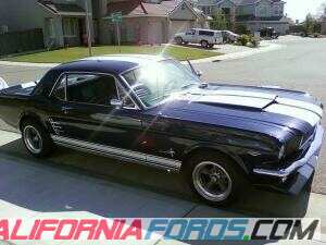 Ma 66 Mustang Lookin Cleaan