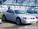 NorCal Ford Mustang Pics