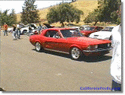 NorCal Ford Mustang Pics