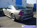 NorCal Ford Mustang Pics